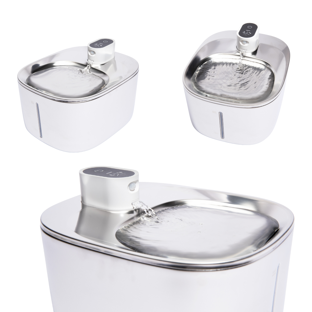 ZuiverPoot – Stromend, gefilterd water voor een gezondere kat