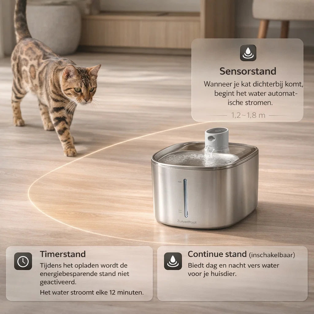 ZuiverPoot – Stromend, gefilterd water voor een gezondere kat